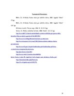 Referāts 'Terorisms un politiskā nozīmē to risināšanā', 29.