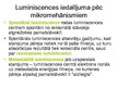 Prezentācija 'Luminiscences iedalījums', 13.