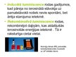 Prezentācija 'Luminiscences iedalījums', 14.