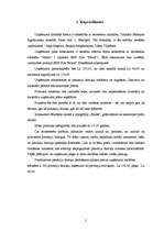 Biznesa plāns 'Biznesa plāns', 2.