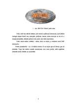 Biznesa plāns 'Biznesa plāns', 6.