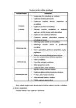 Biznesa plāns 'Biznesa plāns', 12.