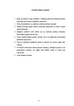 Biznesa plāns 'Biznesa plāns', 13.