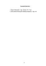 Biznesa plāns 'Biznesa plāns', 17.