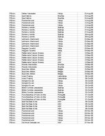 Paraugs 'Pasūtījumu uzskaite trīs gados - auditorijas darbs', 34.