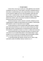 Referāts 'Uztveres tipi', 14.