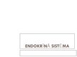 Prezentācija 'Endokrīnā sistēma', 1.