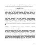 Referāts 'Sociālā darba specifika, strādājot ar emocionālajā vardarbībā cietušu bērnu', 21.