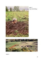 Referāts 'Ieskats Performances mākslā Latvijā', 27.