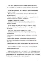 Referāts 'Simbols spogulis', 5.