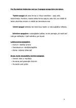 Referāts 'Simbols spogulis', 6.