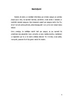 Referāts 'Simbols spogulis', 9.