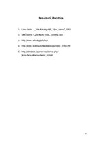 Referāts 'Simbols spogulis', 10.