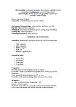 Konspekts 'Atmosfēra', 1.