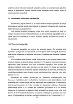 Diplomdarbs 'Lielmolekulārā un mazmolekulārā fluoresceīna pielietojamības salīdzinājums optom', 15.