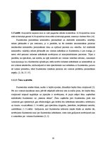 Diplomdarbs 'Lielmolekulārā un mazmolekulārā fluoresceīna pielietojamības salīdzinājums optom', 21.