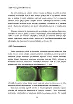 Diplomdarbs 'Lielmolekulārā un mazmolekulārā fluoresceīna pielietojamības salīdzinājums optom', 23.
