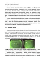 Diplomdarbs 'Lielmolekulārā un mazmolekulārā fluoresceīna pielietojamības salīdzinājums optom', 23.