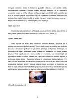 Diplomdarbs 'Lielmolekulārā un mazmolekulārā fluoresceīna pielietojamības salīdzinājums optom', 25.