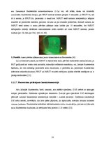 Diplomdarbs 'Lielmolekulārā un mazmolekulārā fluoresceīna pielietojamības salīdzinājums optom', 28.