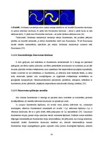 Diplomdarbs 'Lielmolekulārā un mazmolekulārā fluoresceīna pielietojamības salīdzinājums optom', 29.