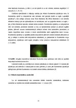 Diplomdarbs 'Lielmolekulārā un mazmolekulārā fluoresceīna pielietojamības salīdzinājums optom', 30.