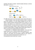 Diplomdarbs 'Lielmolekulārā un mazmolekulārā fluoresceīna pielietojamības salīdzinājums optom', 40.