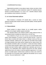 Diplomdarbs 'Lielmolekulārā un mazmolekulārā fluoresceīna pielietojamības salīdzinājums optom', 41.