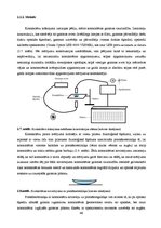 Diplomdarbs 'Lielmolekulārā un mazmolekulārā fluoresceīna pielietojamības salīdzinājums optom', 51.