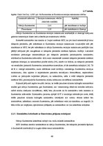 Diplomdarbs 'Lielmolekulārā un mazmolekulārā fluoresceīna pielietojamības salīdzinājums optom', 71.