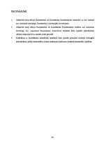 Diplomdarbs 'Lielmolekulārā un mazmolekulārā fluoresceīna pielietojamības salīdzinājums optom', 73.