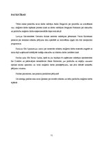 Diplomdarbs 'Lielmolekulārā un mazmolekulārā fluoresceīna pielietojamības salīdzinājums optom', 76.