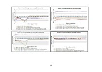 Diplomdarbs 'Lielmolekulārā un mazmolekulārā fluoresceīna pielietojamības salīdzinājums optom', 94.