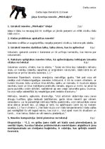 Konspekts 'Jāņa Ezeriņa novele „Mērkaķis”', 1.