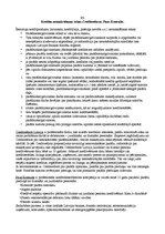 Referāts 'Patēriņa kredīts', 13.