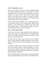 Eseja 'Vēstule kā lietišķās saziņas instruments un tās nozīme mūsdienu komunikācijā', 1.