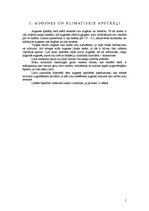 Referāts 'Garšķiedru linu agrotehnika, tās izmaksas un iegūtās produkcijas pārstrāde', 5.