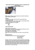 Konspekts 'Atklātā nodarbība pirmsskolā, vidējai grupai. Meža dzīvnieki', 1.