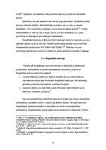 Diplomdarbs 'Pilsētnieka socializācija lauku vidē - jaunas identitātes veidošanās?', 32.