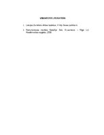 Eseja 'Morālās situācijas analīze', 9.