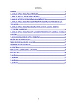 Diplomdarbs 'Smilšu terapijas nozīme internā aprūpē', 4.