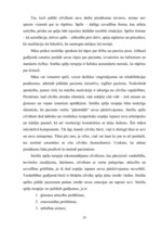 Diplomdarbs 'Smilšu terapijas nozīme internā aprūpē', 29.