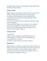 Referāts 'Latvijas nodokļu politika', 19.