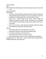 Konspekts 'Integrēta nodarbība sākumskolā ar dominanti dabaszinībās par tematu "Maņu orgāni', 1.