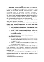 Referāts 'Latvijas heteroseksuālās sabiedrības attieksme pret biseksuālismu', 3.