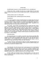 Eseja 'Konflikta analīze', 3.