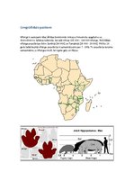 Konspekts 'Nīlzirgs', 6.