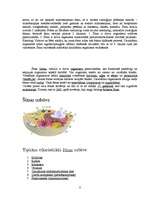 Referāts 'Histoloģija', 8.