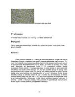 Referāts 'Histoloģija', 14.