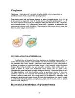 Referāts 'Histoloģija', 16.